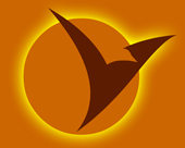 eyelineoptics eyelineoptics
